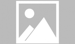 恐怖宠物店漫画下载,暗黑收藏者的惊悚秘境