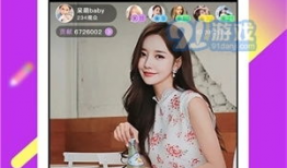 美女91直播,魅力四溢的直播盛宴